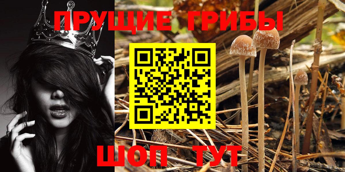Псилоцибиновые грибы мухоморы  Вход с VPN  Кохма 